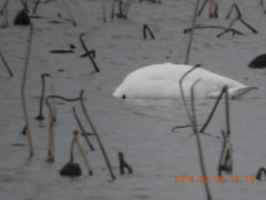 DSCN1222.JPG