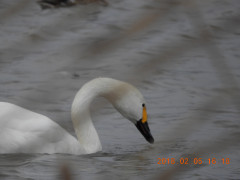DSCN1225.JPG