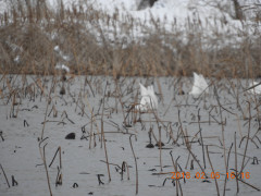 DSCN1223.JPG