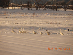 DSCN1272.JPG