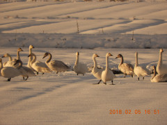DSCN1295.JPG