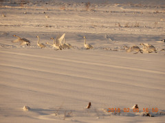 DSCN1275.JPG