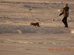 DSCN1287.JPG