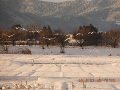 DSCN1286.JPG