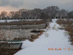 DSCN1427.JPG