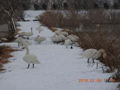 DSCN1428.JPG