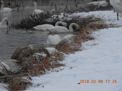 DSCN1440.JPG