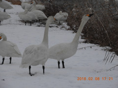 DSCN1432.JPG