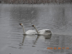 DSCN1434.JPG