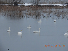 DSCN1443.JPG