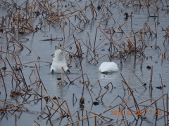 DSCN1447.JPG