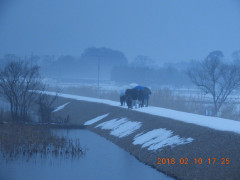 DSCN1471.JPG