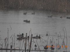 DSCN1469.JPG