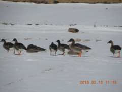 DSCN1582.JPG