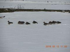 DSCN1546.JPG