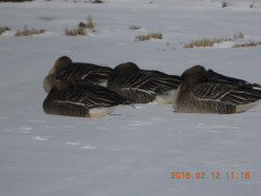 DSCN1586.JPG