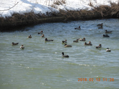 DSCN1613.JPG