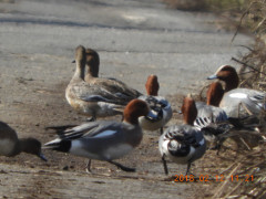 DSCN1590.JPG