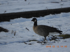 DSCN1659.JPG