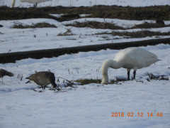 DSCN1663.JPG