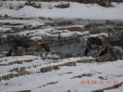 DSCN1753.JPG