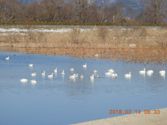 DSCN1756.JPG