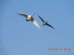 DSCN1767.JPG