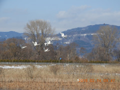 DSCN1863.JPG