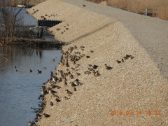 DSCN2013.JPG
