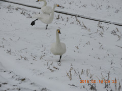 DSCN2083.JPG