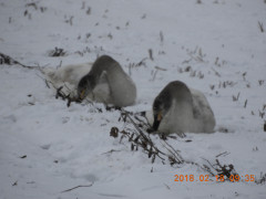 DSCN2087.JPG