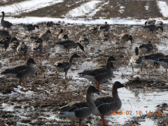 DSCN2124.JPG