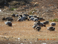 DSCN2114.JPG