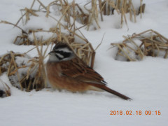 DSCN2068.JPG