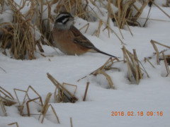 DSCN2069.JPG