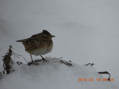 DSCN2086.JPG