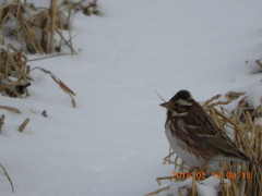 DSCN2073.JPG