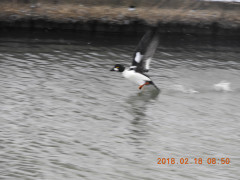 DSCN2053.JPG