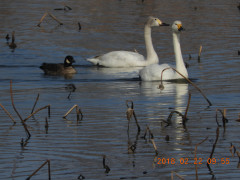 DSCN2279.JPG