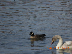 DSCN2282.JPG