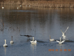 DSCN2285.JPG