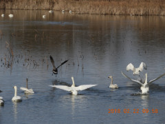 DSCN2286.JPG
