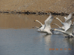DSCN2348.JPG