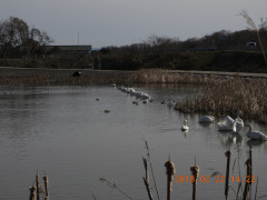 DSCN2371.JPG