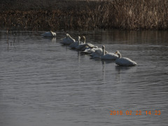 DSCN2374.JPG
