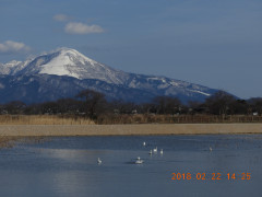 DSCN2377.JPG