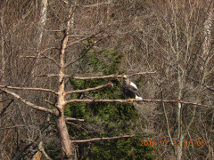 DSCN2386.JPG