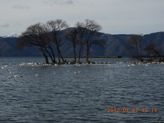 DSCN2380.JPG