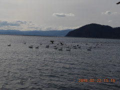 DSCN2378.JPG