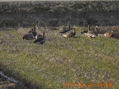 RSCN2399.JPG